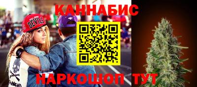 хмурый Новозыбков