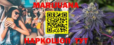 хмурый Новозыбков